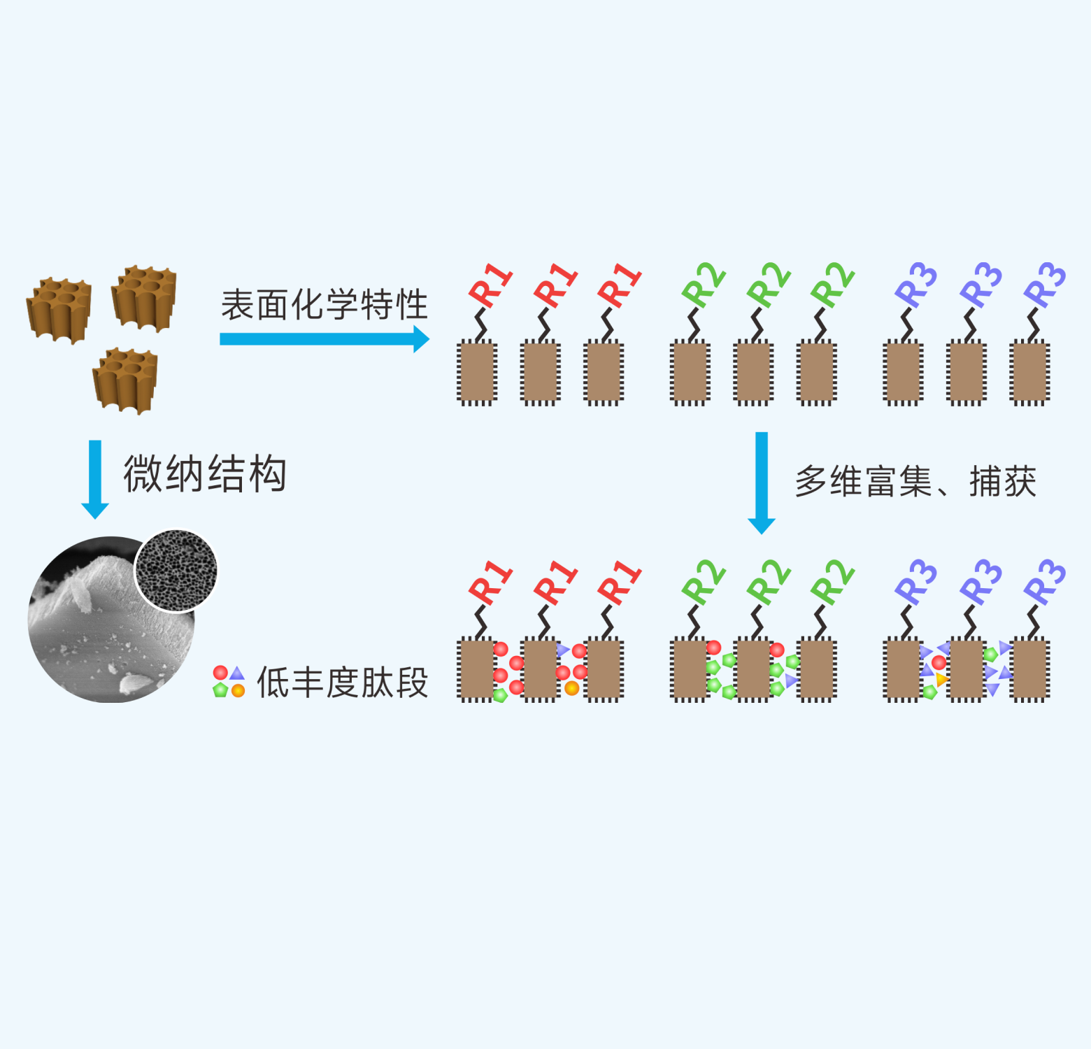 汇建科技