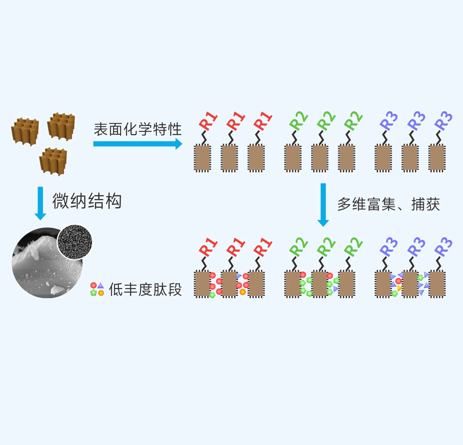 汇建科技