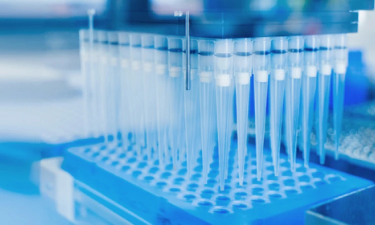 Quick Discovery Metabolomics