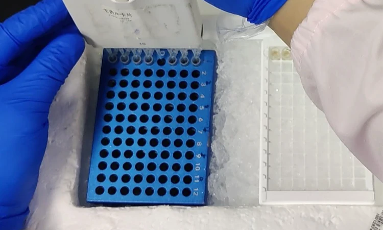 High-throughput 4D Proteomics