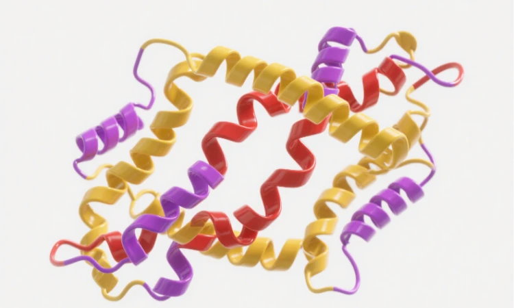 High-throughput Glycomics