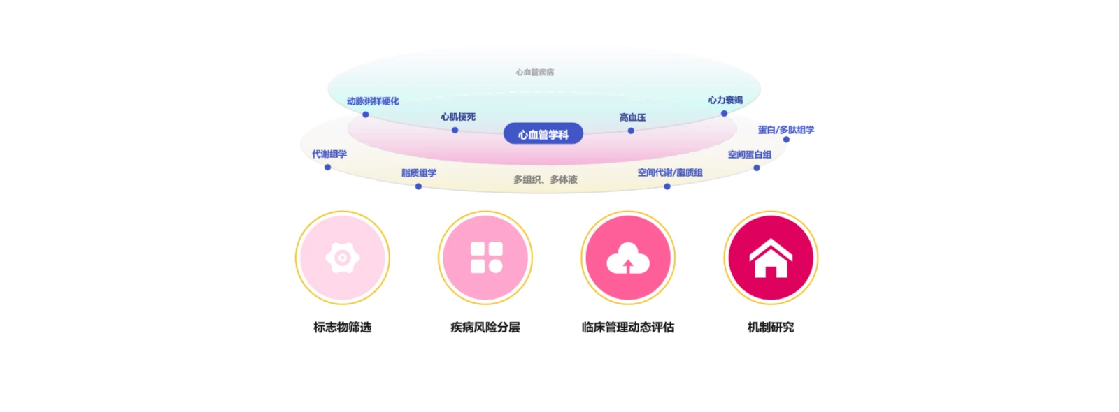 研究方向
