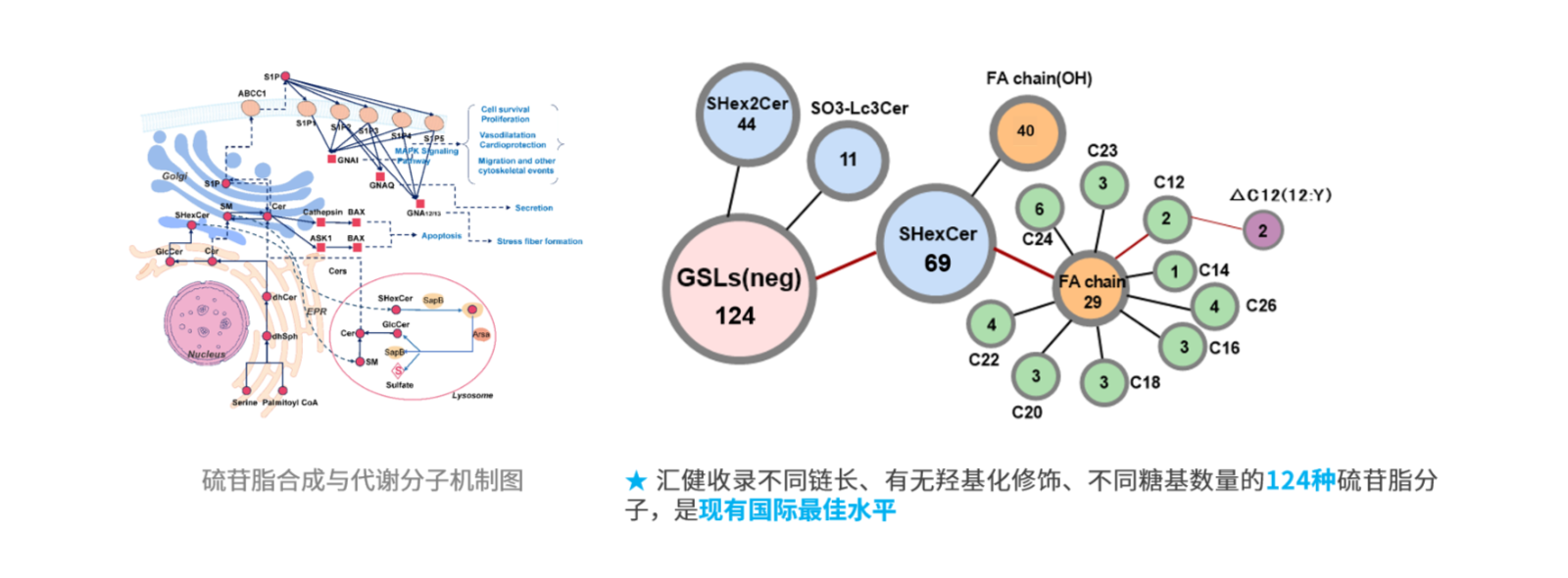 产品介绍