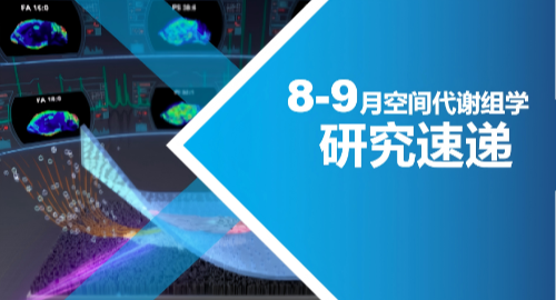 汇建科技
