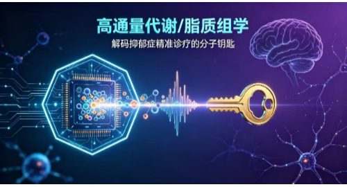 汇建科技